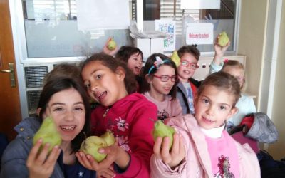 Vuelven las manzanas, peras, plátanos, mandarinas y cerezas a las aulas de Primaria y Secundaria.