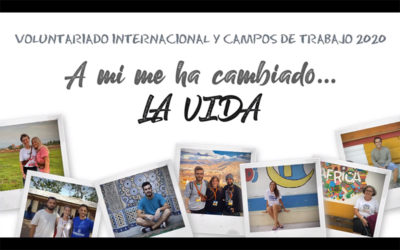 5 de diciembre, día internacional del voluntariado