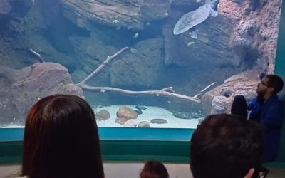 1º de ESO visita el Acuario de Zaragoza: una experiencia salvaje y educativa