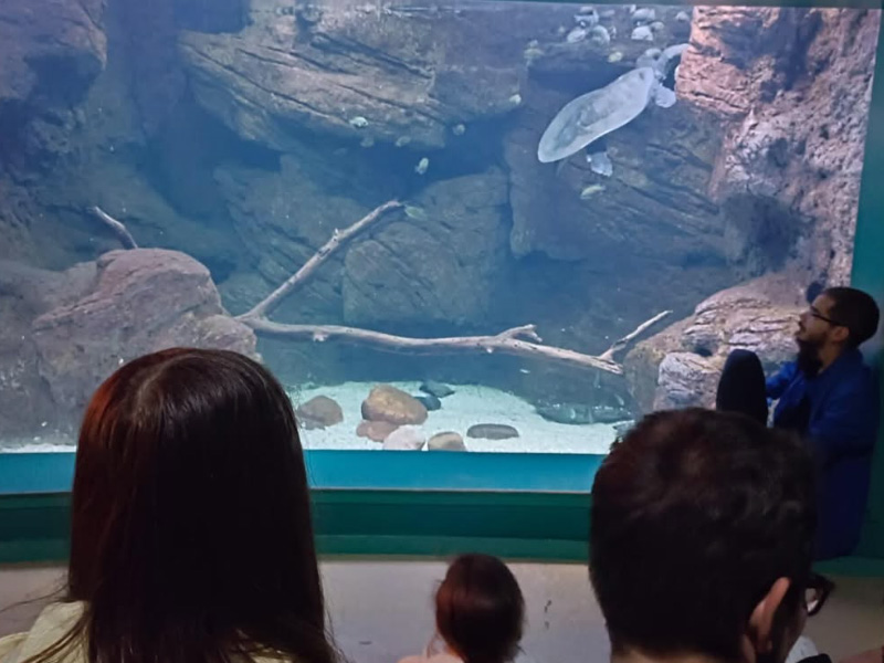 1º de ESO visita el Acuario de Zaragoza: una experiencia salvaje y educativa